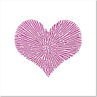 Turing Pattern Sunburst Love Heart (Pink) Posters and Art